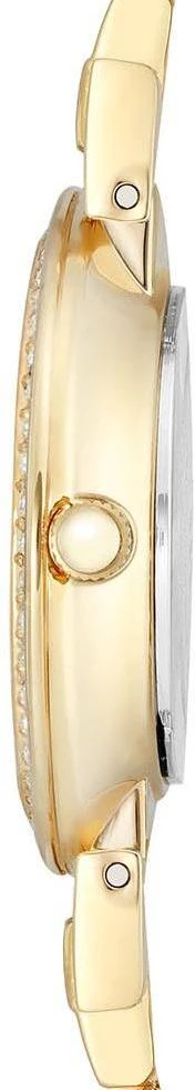 Наручные часы  Anne Klein  Steel Anne Klein 2928BKGB (фото 2)