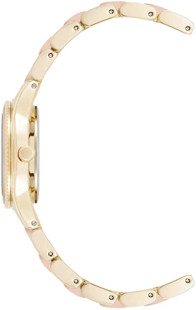 Наручные часы  Anne Klein  Plastic Anne Klein 3212IRGB (фото 3)