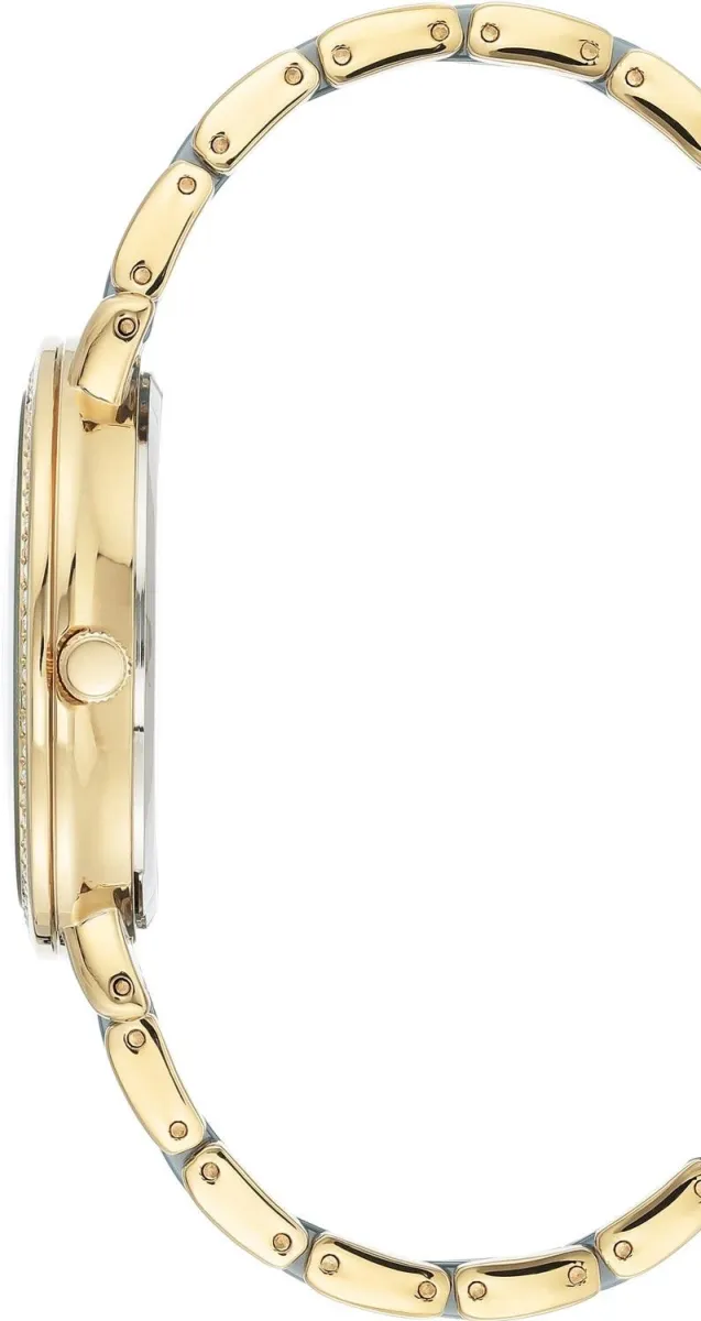 Наручные часы  Anne Klein  Ceramic Anne Klein 3810BLGB (фото 2)