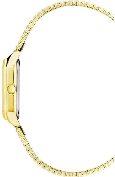 Наручные часы  Anne Klein  Steel Anne Klein 3980CHGB (фото 2)