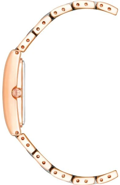 Часы  Anne Klein  Plastic Anne Klein 3998NVRG (фото 2)