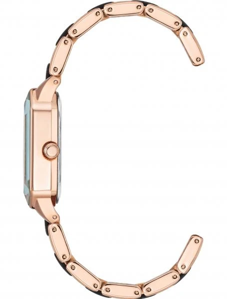 Наручные часы  Anne Klein  Steel Anne Klein 3972RGGY (фото 2)