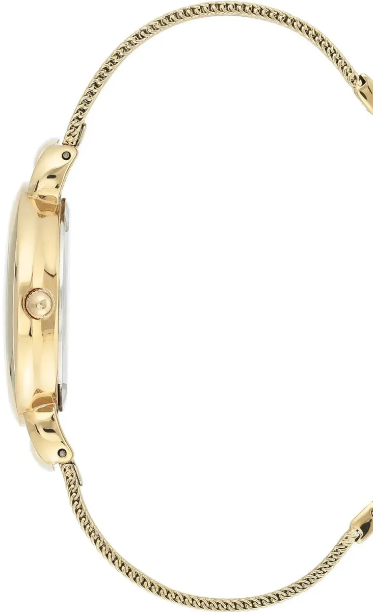 Наручные часы  Anne Klein  Steel Anne Klein 3806SVGB (фото 2)