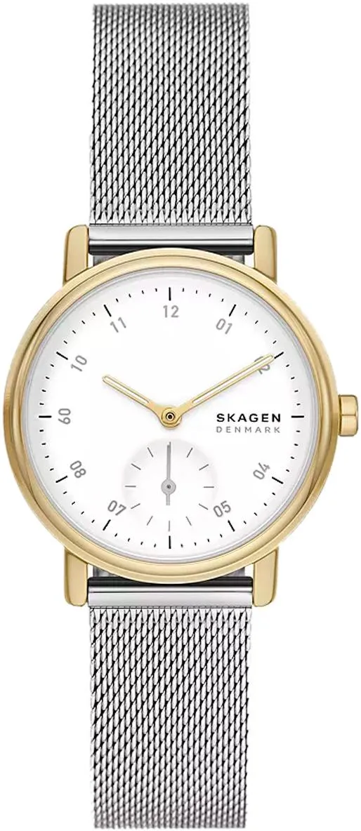 Наручные часы  Skagen  Kuppel Skagen SKW3101 (фото 1)