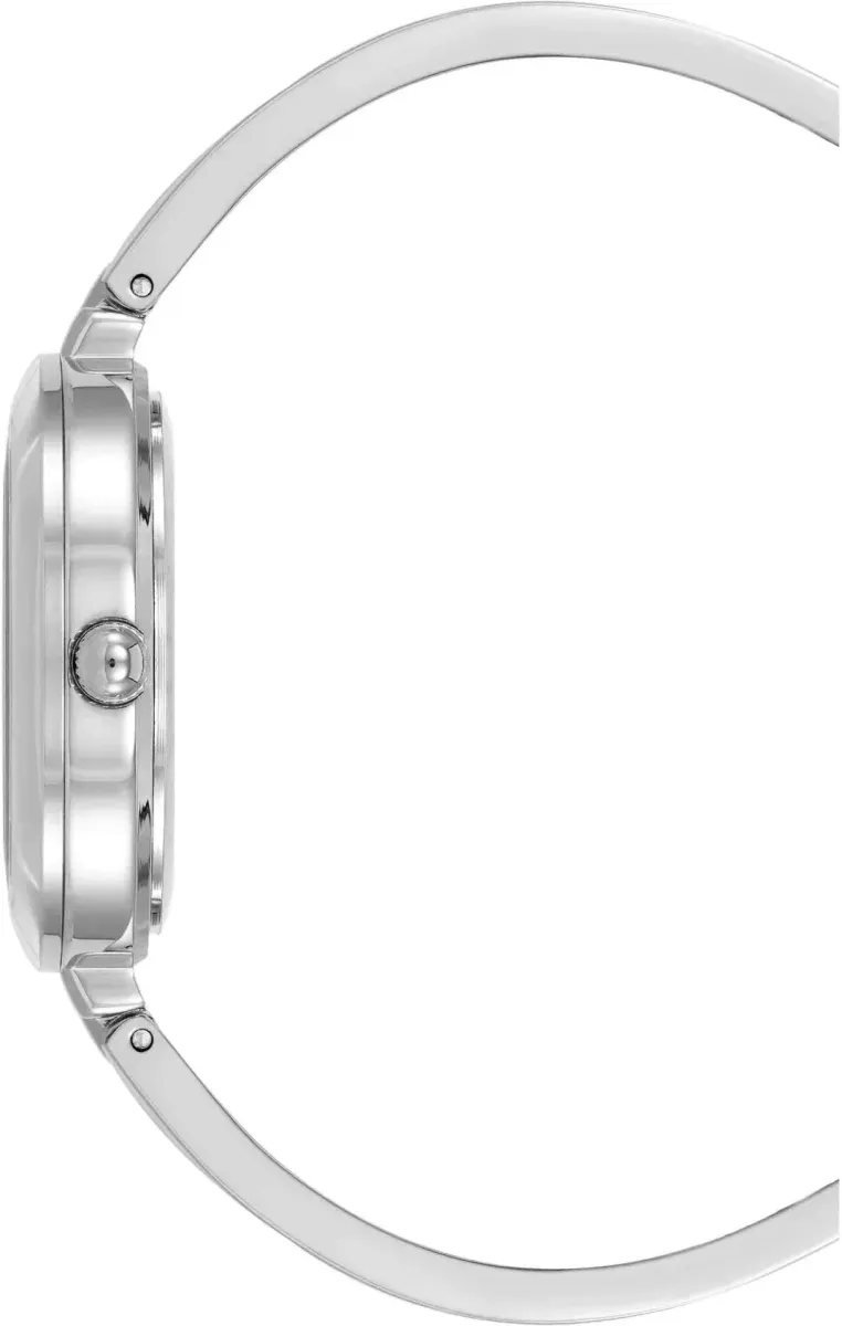 Часы  Anne Klein  Metals Anne Klein 5111INST (фото 3)