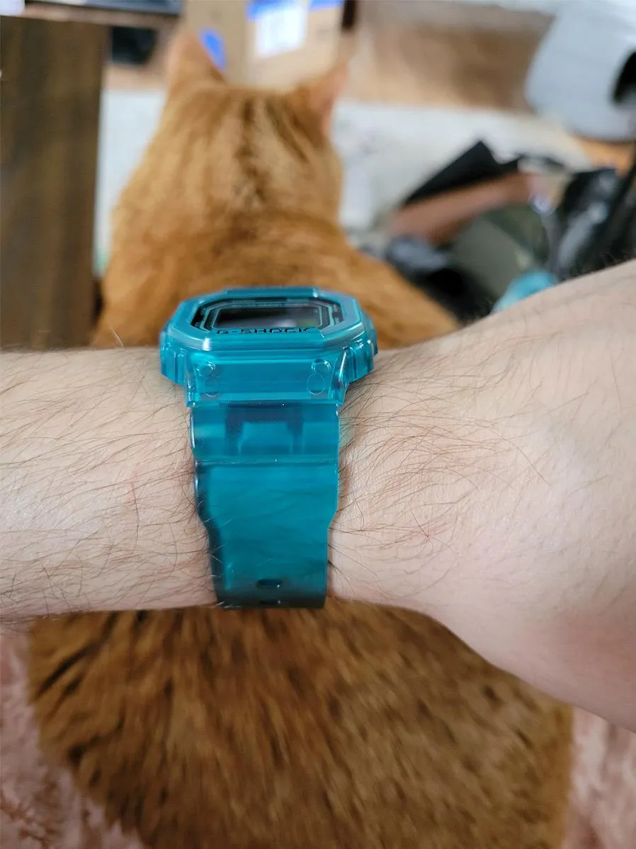 Наручные часы  Casio  G-Shock Casio DW-B5600G-2E (фото 3)