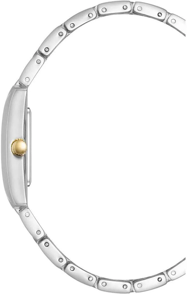 Наручные часы  Anne Klein  Metals Anne Klein 5115SVTT (фото 3)