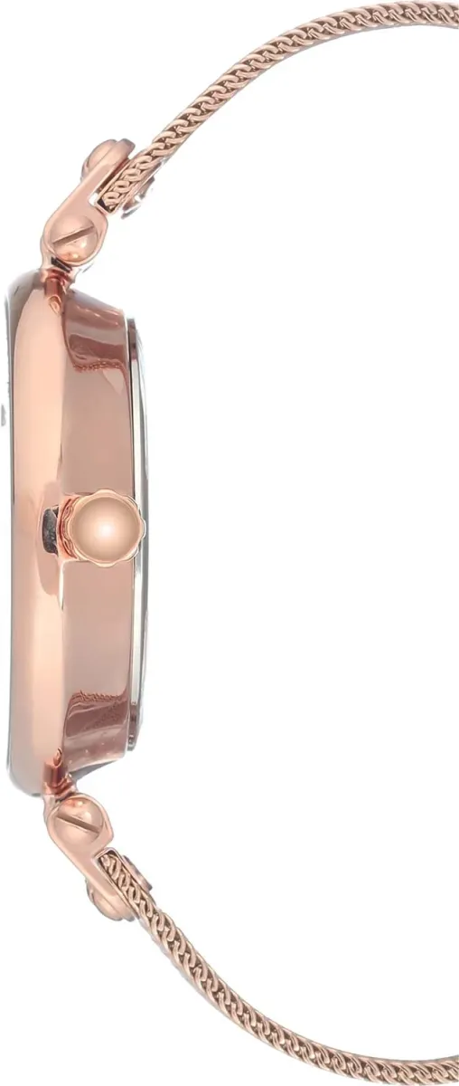 Часы  Anne Klein  Steel Anne Klein 3000BYRG (фото 3)
