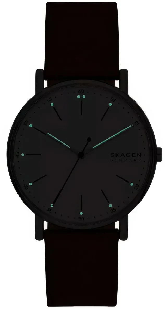 Наручные часы  Skagen  Signatur Skagen SKW6903 (фото 4)