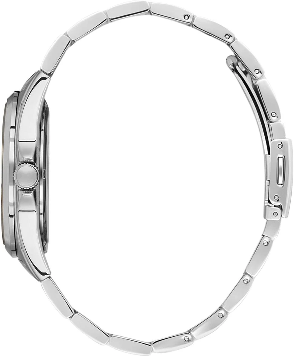 Часы  Daniel Klein  Premium Daniel Klein 13891-2 (фото 2)