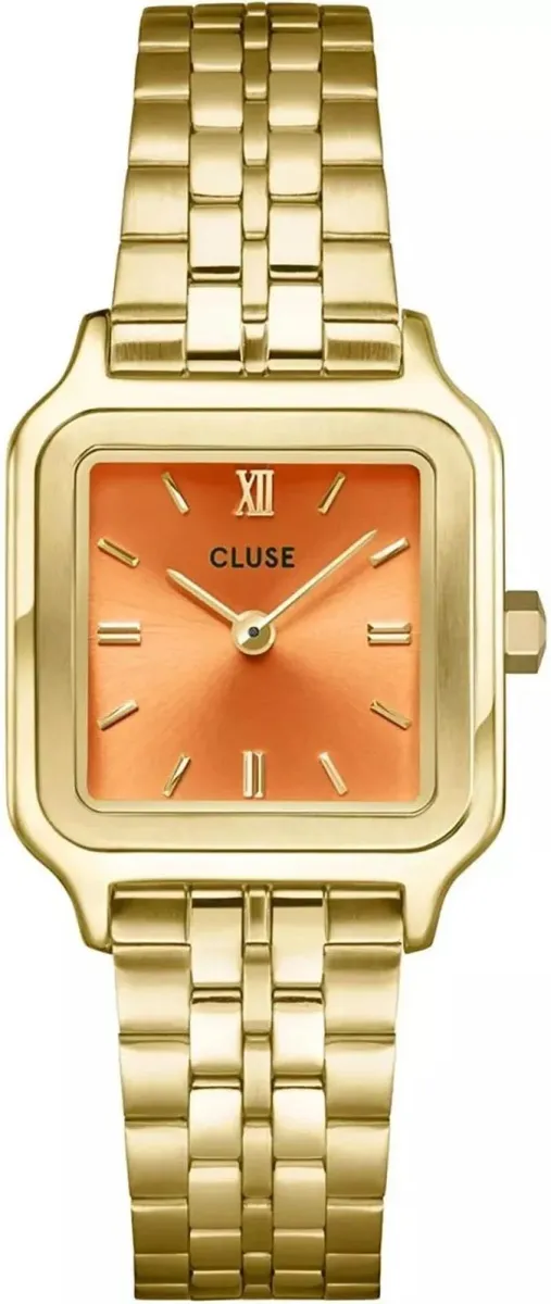 Наручные часы  Cluse  Gracieuse Cluse CW11807 (фото 1)