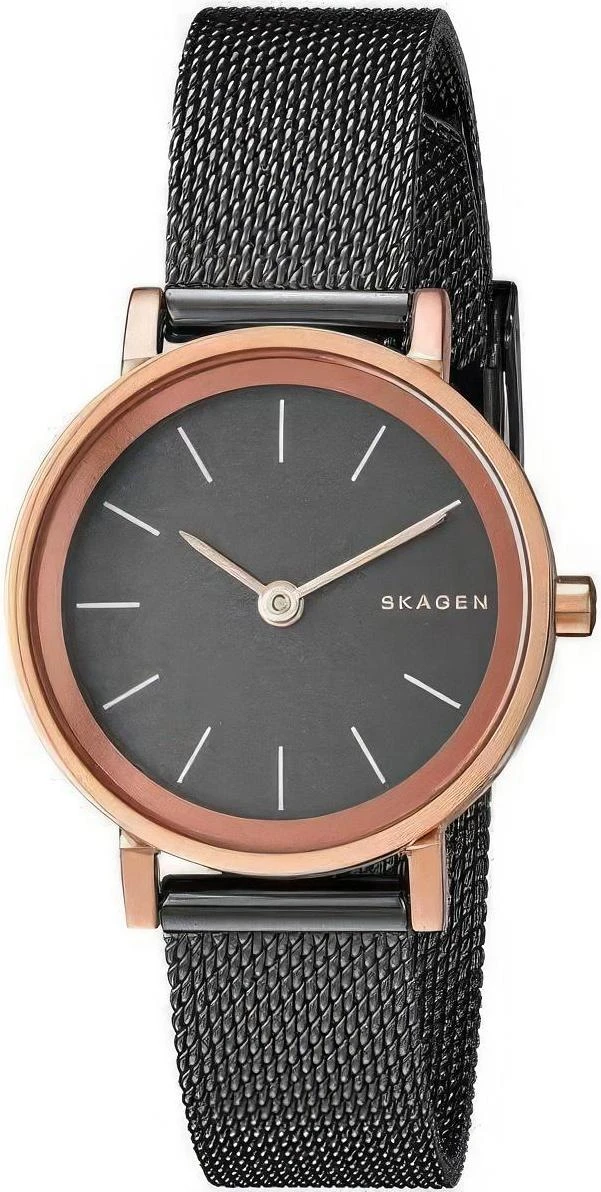 Наручные часы  Skagen  Steel Women Skagen SKW2492 (фото 1)