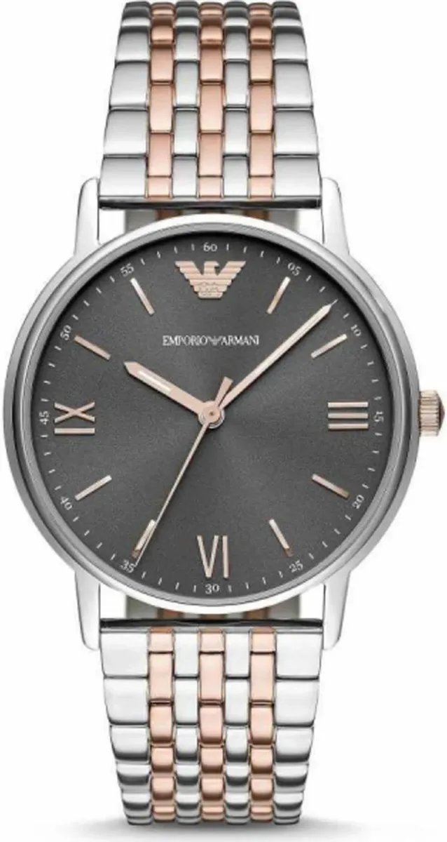 Наручные часы  Emporio Armani  Luigi Emporio Armani AR11121 (фото 1)