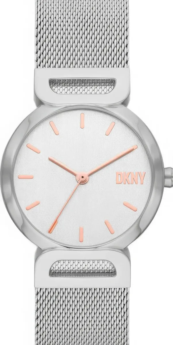 Наручные часы  DKNY  Downtown DKNY NY6623 (фото 1)