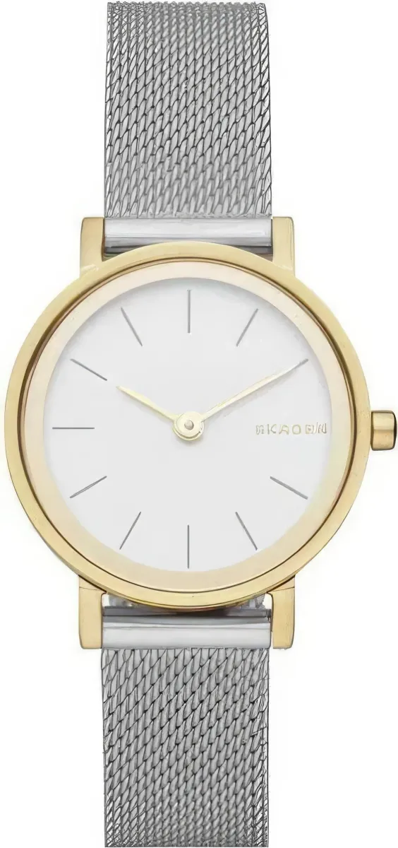 Наручные часы  Skagen  Steel Women Skagen SKW2445 (фото 1)