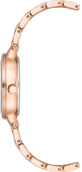 Наручные часы  Anne Klein  Steel Anne Klein 4014WTRG (фото 2)