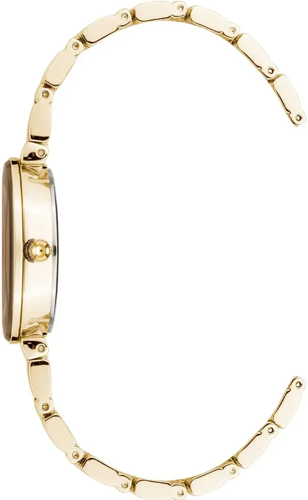 Часы  Anne Klein  Diamond Anne Klein 2434BMGB (фото 3)