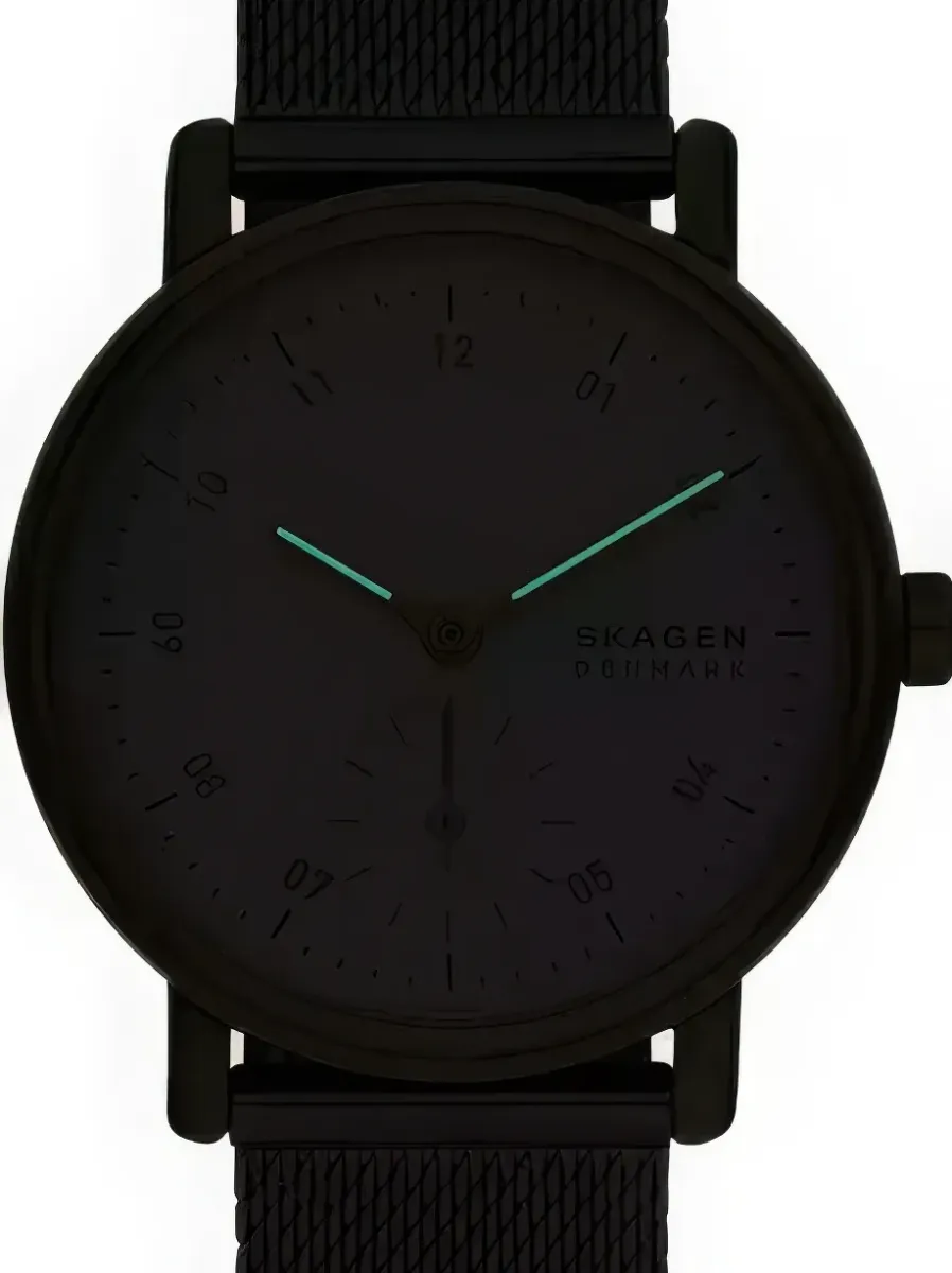 Наручные часы  Skagen  Kuppel Skagen SKW3101 (фото 4)