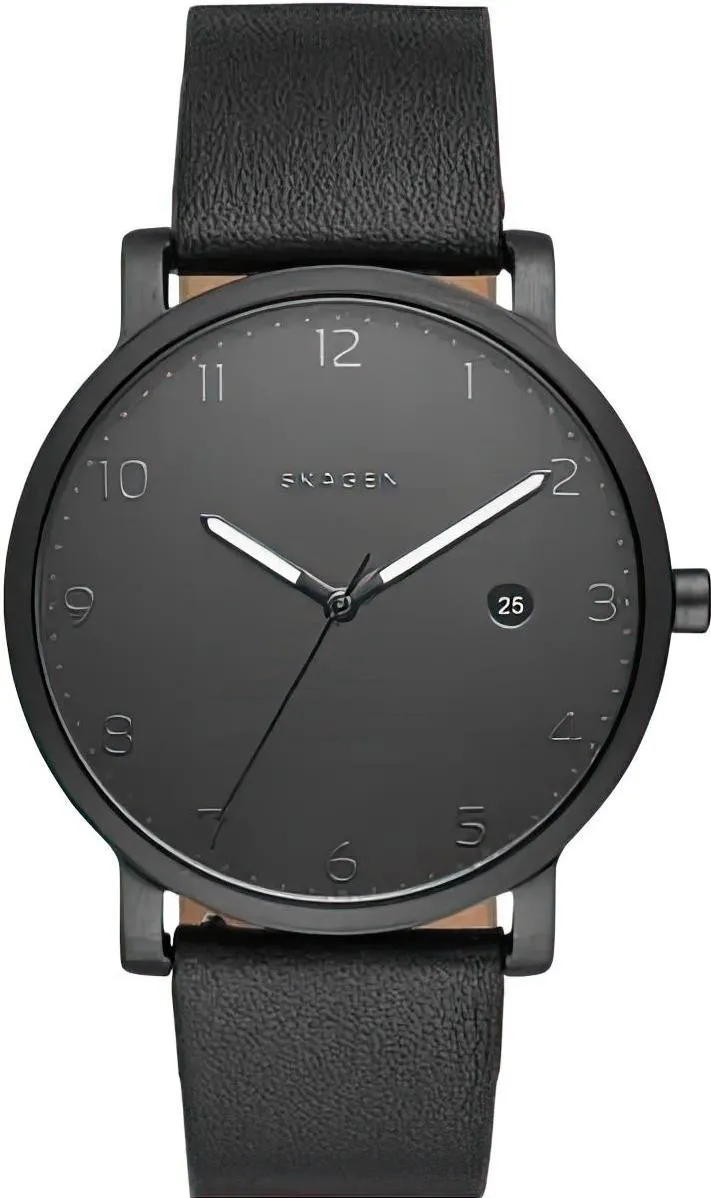 Наручные часы  Skagen  Hagen Skagen SKW6308 (фото 1)