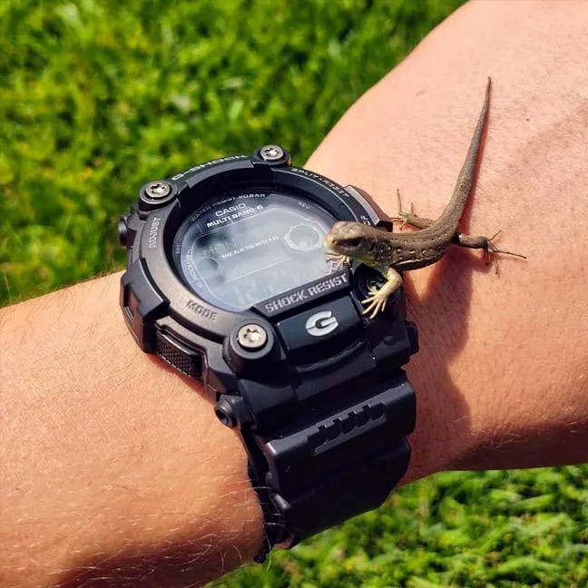 Наручные часы  Casio  G-Shock Casio GW-7900B-1E (фото 3)
