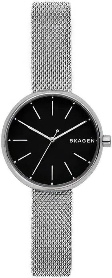 Наручные часы  Skagen  Steel Women Skagen SKW2596 (фото 1)