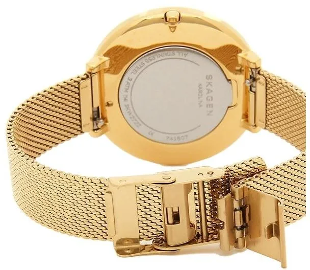 Наручные часы  Skagen  Steel Women Skagen SKW2722 (фото 2)
