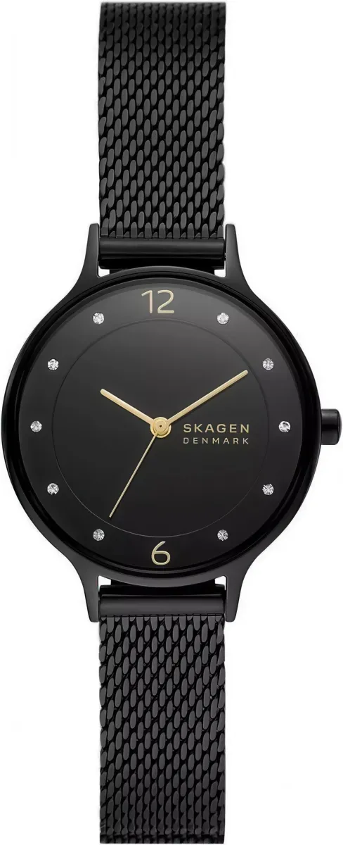 Наручные часы  Skagen  Anita Skagen SKW3112 (фото 1)