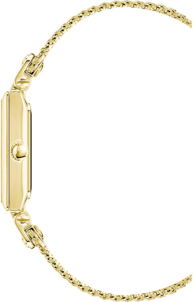 Наручные часы  Anne Klein  Metals Anne Klein 3882BKGB (фото 2)