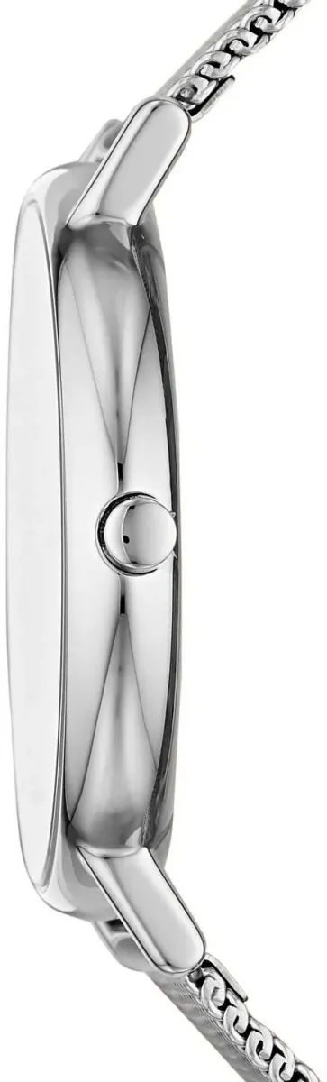 Наручные часы  Skagen  Steel Skagen SKW2785 (фото 2)