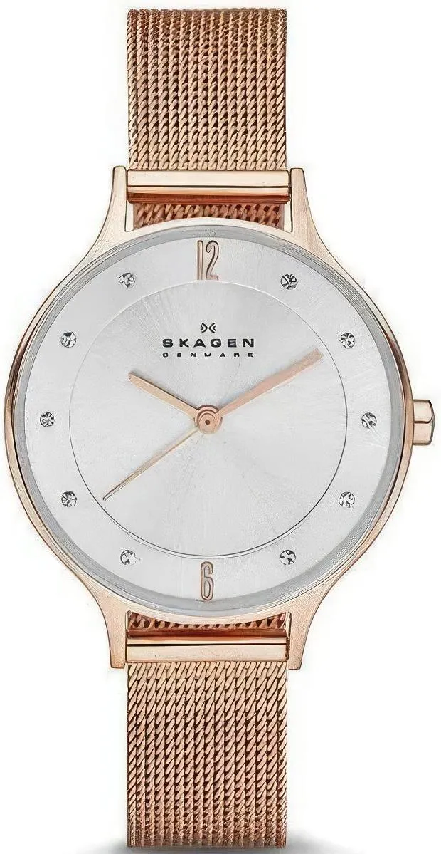 Наручные часы  Skagen  Steel Skagen SKW2151 (фото 1)