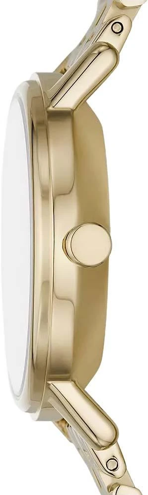 Наручные часы  Skagen  Aaren Skagen SKW3102 (фото 3)