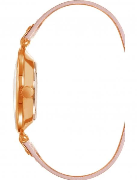 Наручные часы  Anne Klein  Leather Anne Klein 9168RGBH (фото 2)