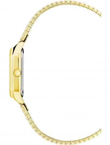 Наручные часы  Anne Klein  Steel Anne Klein 3980BNGB (фото 2)
