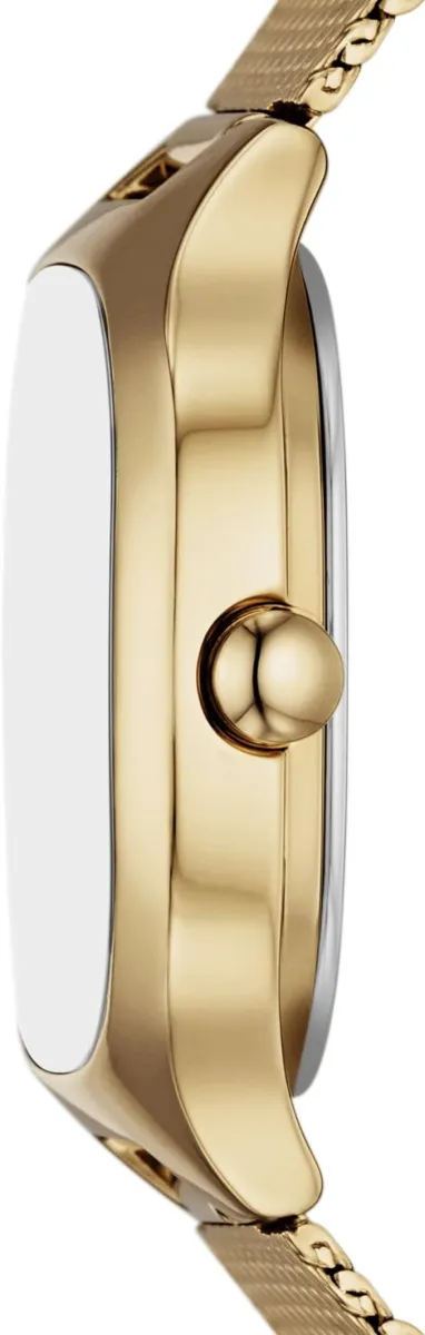 Наручные часы  Skagen  Mellem Skagen SKW3164 (фото 3)