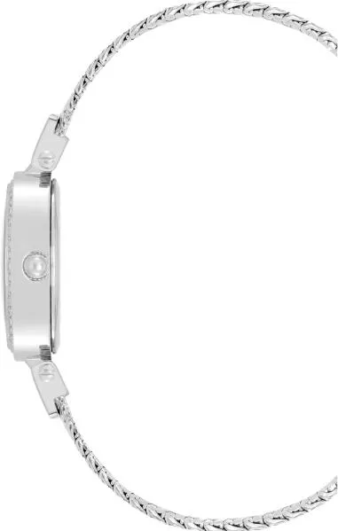 Наручные часы  Anne Klein  Crystal Anne Klein 4023MPSV (фото 2)