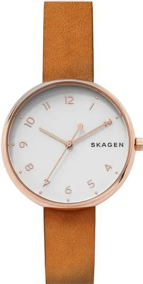 Наручные часы  Skagen  Leather Skagen SKW2624 (фото 1)