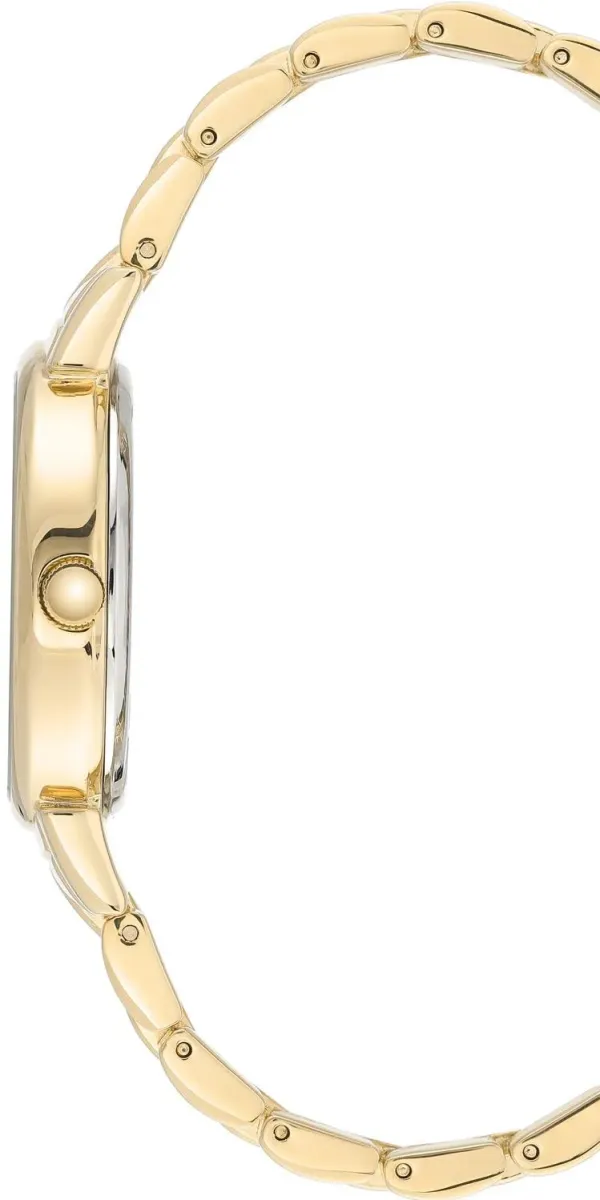 Наручные часы  Anne Klein  Steel Anne Klein 3692MPGB (фото 2)