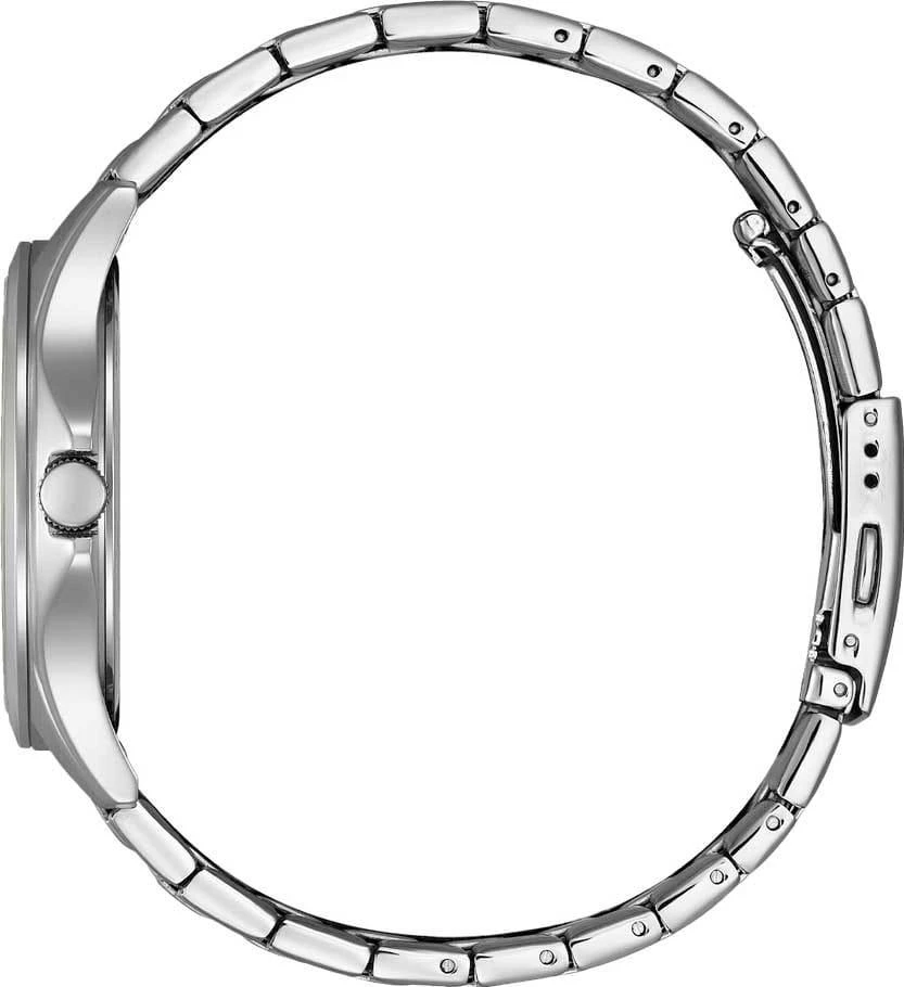 Наручные часы  Citizen  Quartz Citizen BF2021-82A (фото 2)