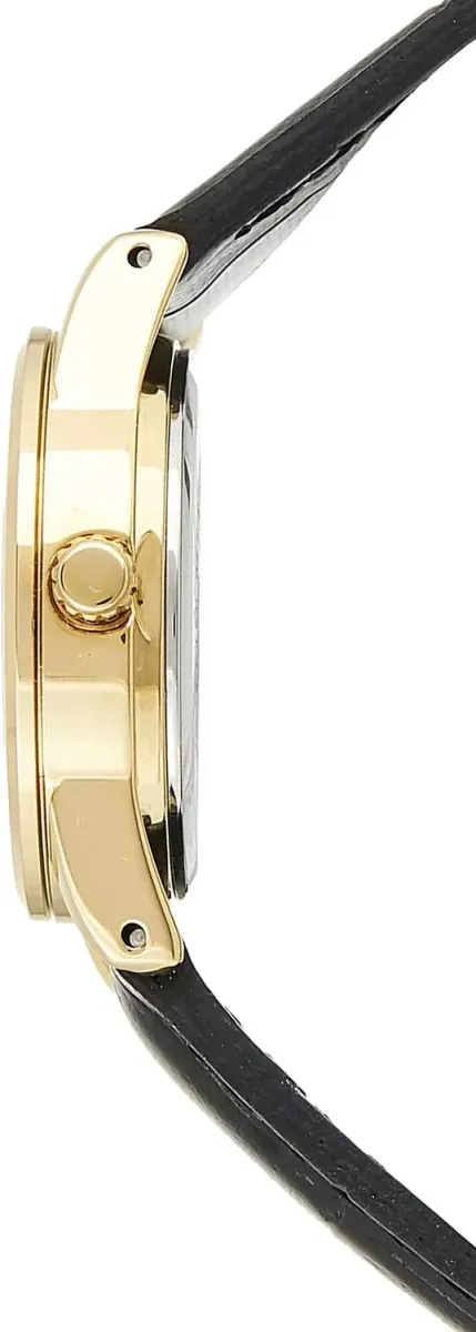 Наручные часы  Casio  Collection Casio LTP-V001GL-7B (фото 2)