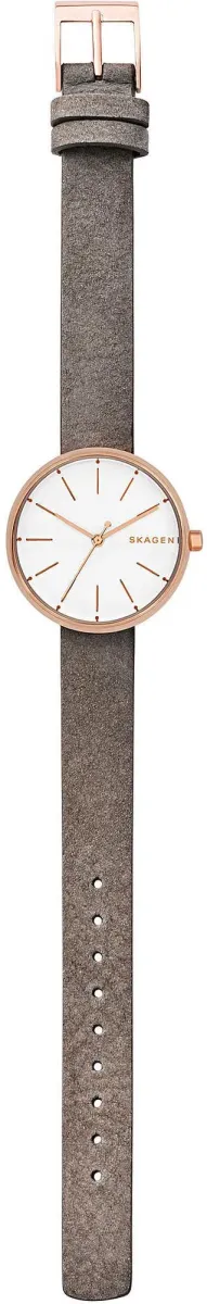 Наручные часы  Skagen  Leather Skagen SKW2644 (фото 2)