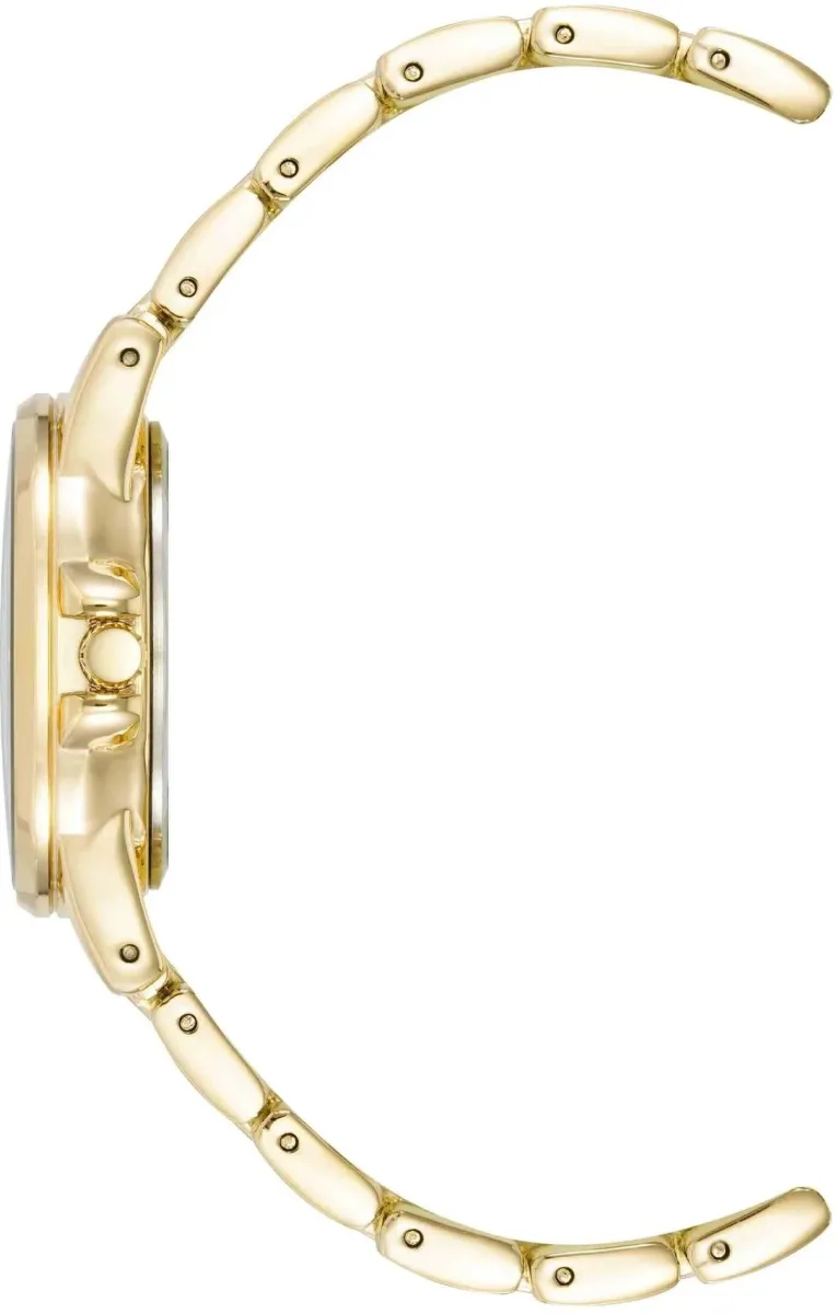 Наручные часы  Anne Klein  Metals Anne Klein 4132PYGB (фото 3)