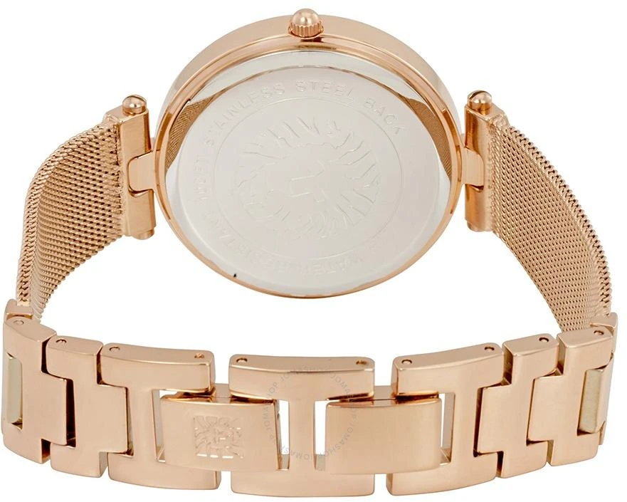 Наручные часы  Anne Klein  Steel Anne Klein 2972MPRG (фото 2)