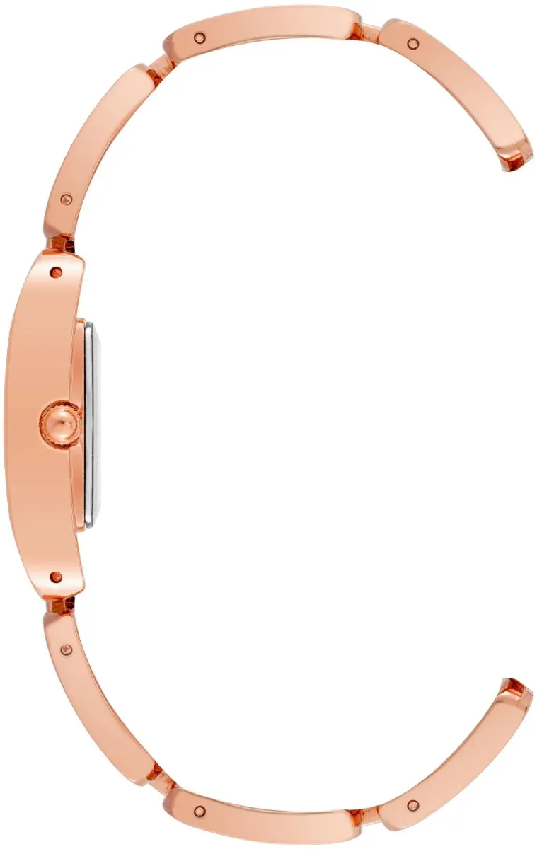 Наручные часы  Anne Klein  Steel Anne Klein 4068RGTE (фото 2)