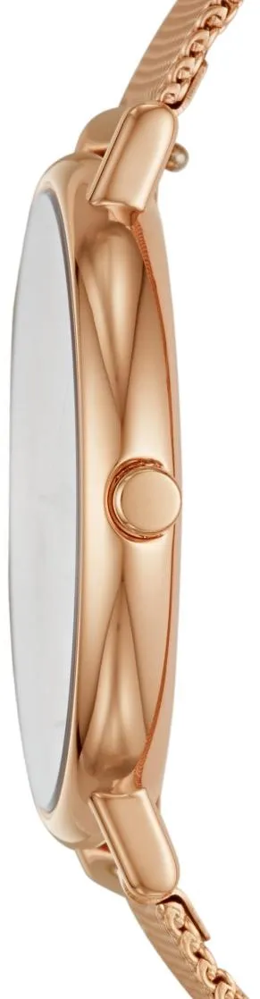 Наручные часы  Skagen  Steel Women Skagen SKW2732 (фото 2)