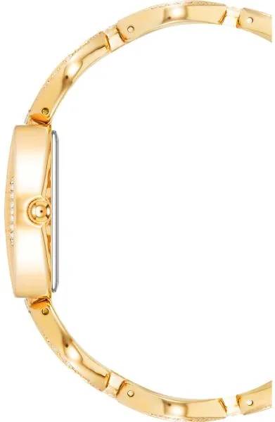 Наручные часы  Anne Klein  Crystal Anne Klein 4020MPGB (фото 2)