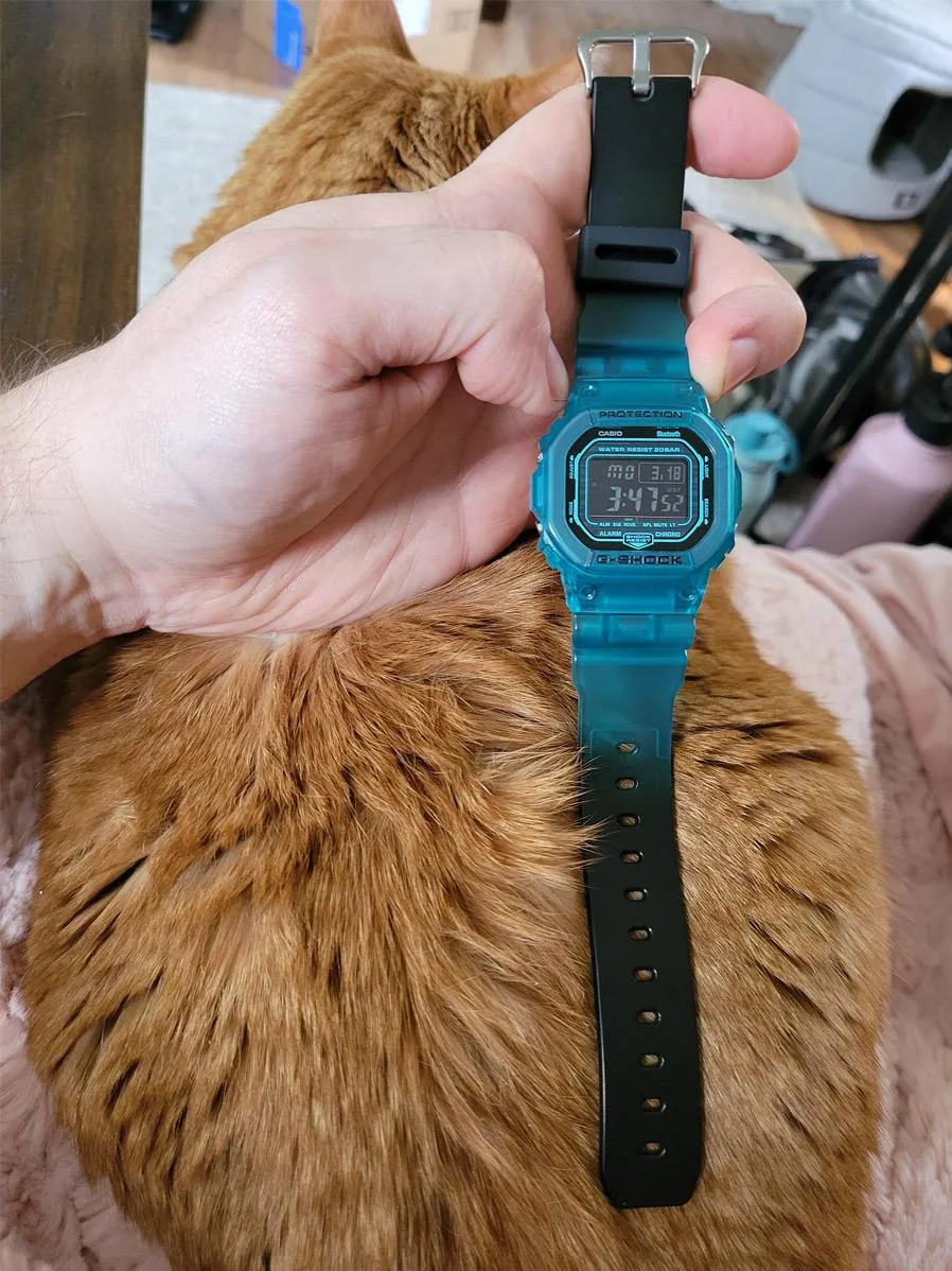 Наручные часы  Casio  G-Shock Casio DW-B5600G-2E (фото 4)