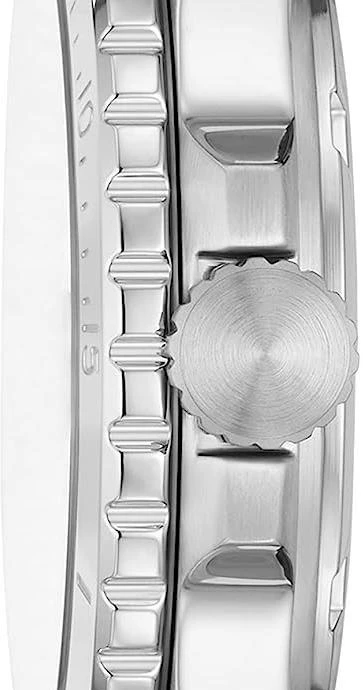 Наручные часы  Fossil  FB-01 Fossil ES5289 (фото 2)