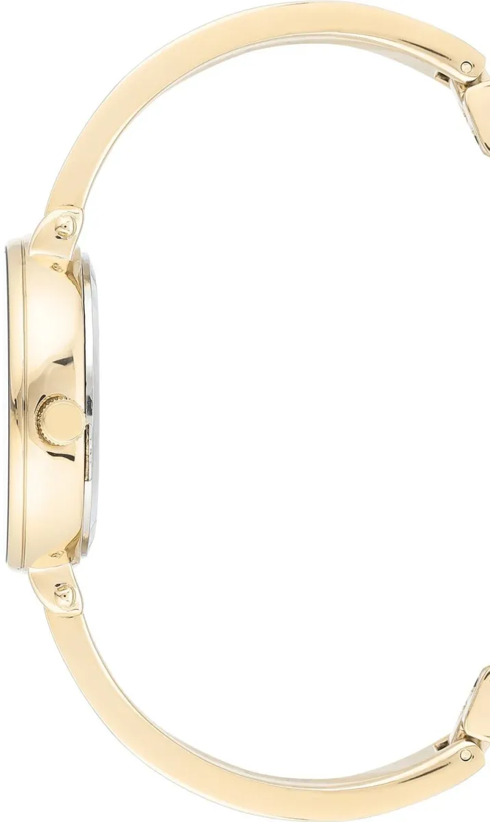 Наручные часы  Anne Klein  Box Set Anne Klein 3620PLST (фото 2)