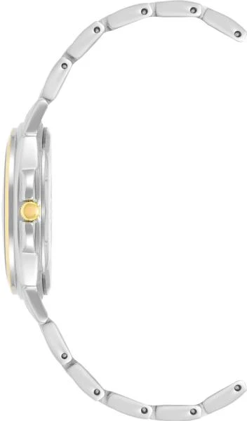 Наручные часы  Anne Klein  Steel Anne Klein 4055WTTT (фото 2)