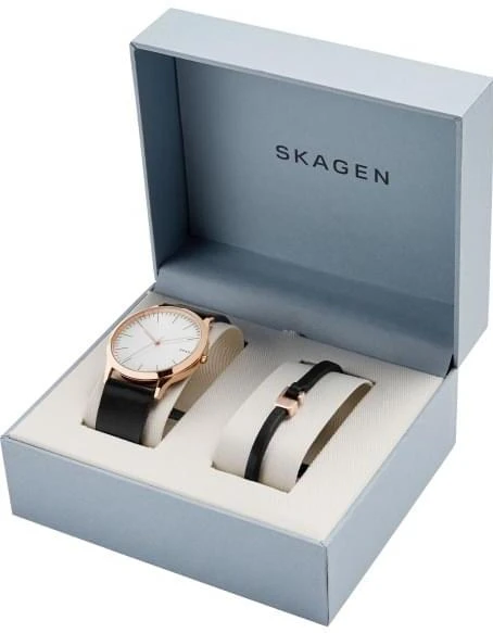 Наручные часы  Skagen  Leather Skagen SKW1102 (фото 2)